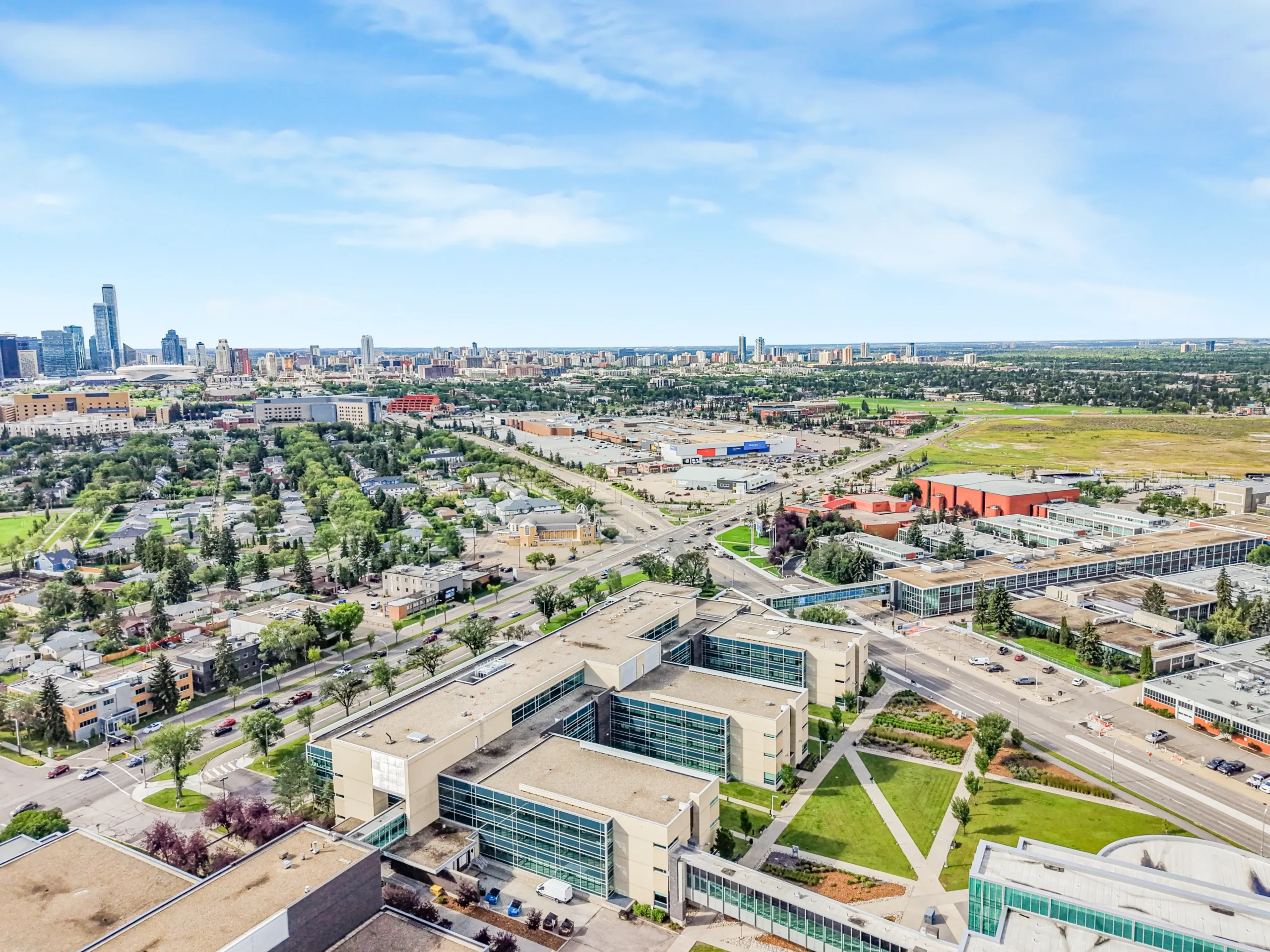 Drone Aerial 2